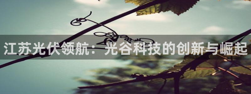 江苏光伏领航：光谷科技的创新与崛起