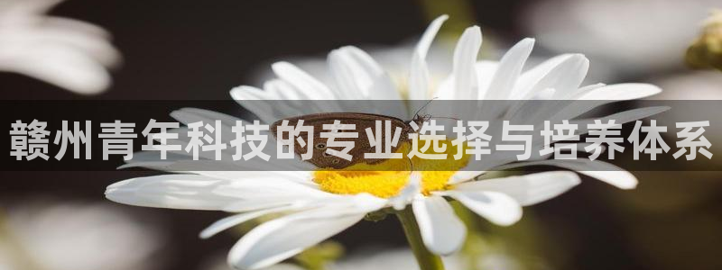 赣州青年科技的专业选择与培养体系