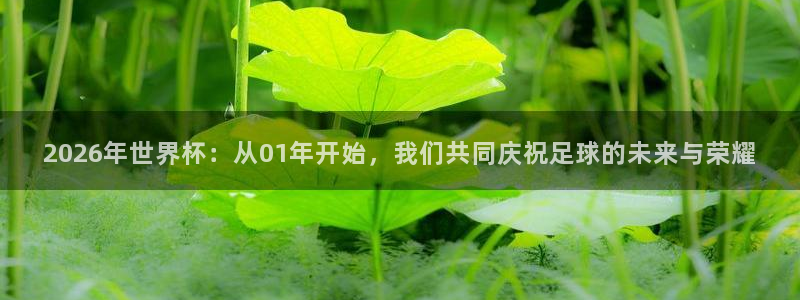 2026年世界杯：从01年开始，我们共同庆祝足球的未来与荣耀