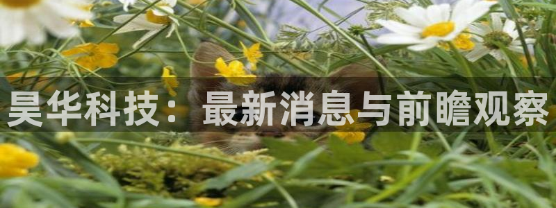 昊华科技：最新消息与前瞻观察