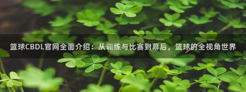 篮球CBDL官网全面介绍：从训练与比赛到幕后，篮球的全视角世界