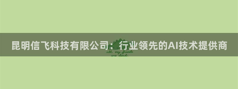 昆明信飞科技有限公司：行业领先的AI技术提供商