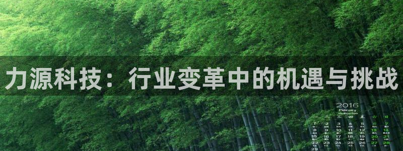 力源科技：行业变革中的机遇与挑战