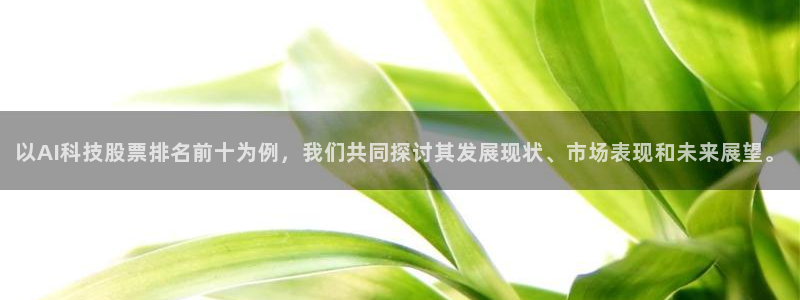 以AI科技股票排名前十为例，我们共同探讨其发展现状、市场表现和未来展望。