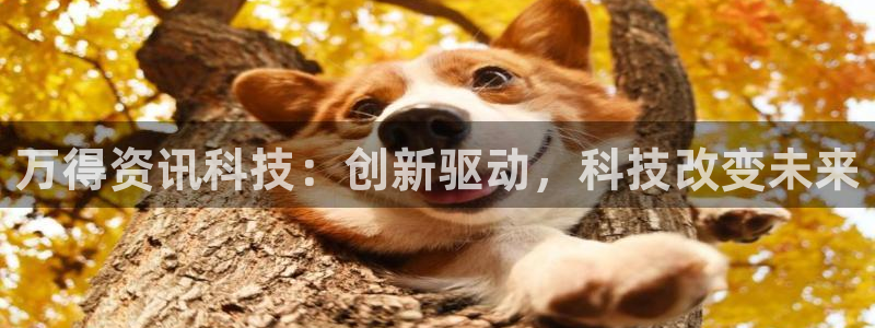 万得资讯科技：创新驱动，科技改变未来