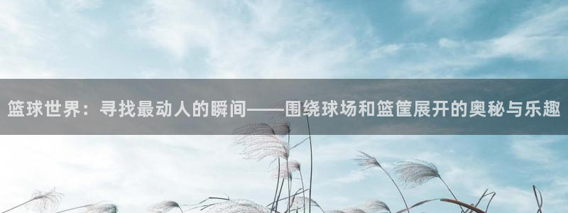 篮球世界：寻找最动人的瞬间——围绕球场和篮筐展开的奥秘与乐趣