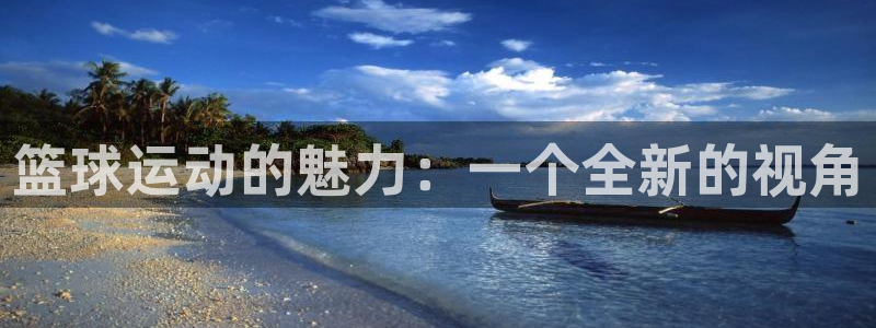 篮球运动的魅力：一个全新的视角