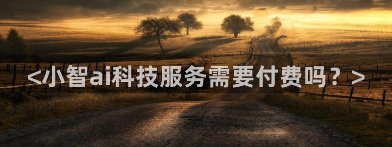 <小智ai科技服务需要付费吗？>