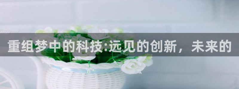 重组梦中的科技:远见的创新，未来的