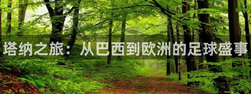 塔纳之旅：从巴西到欧洲的足球盛事