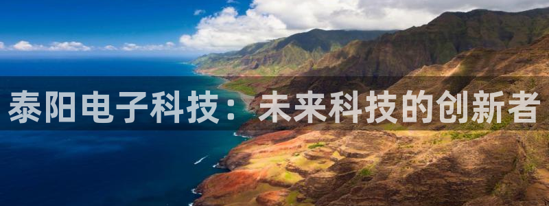 泰阳电子科技：未来科技的创新者